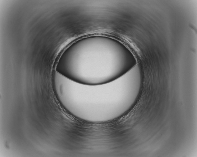 X0000096961316200802080851