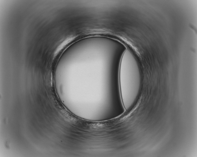 X0000096961317200802080851
