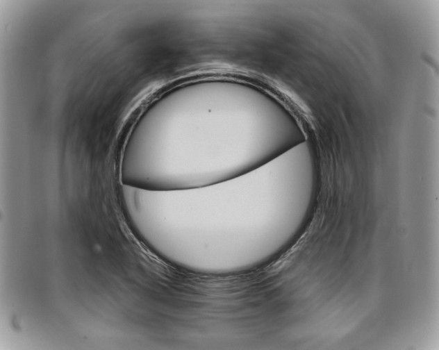 X0000096961318200802080851