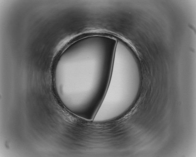 X0000096961319200802080851