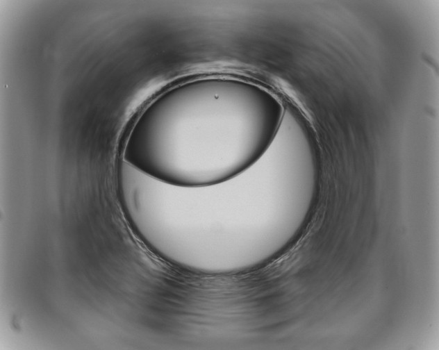 X0000096961320200802080851