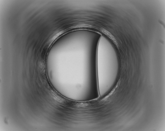 X0000096961321200802080851