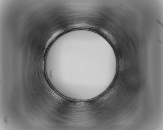 X0000096961322200802080851
