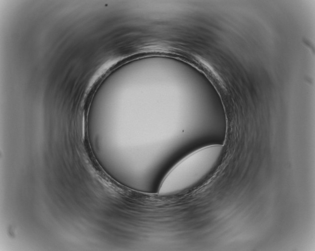 X0000096961323200802080851