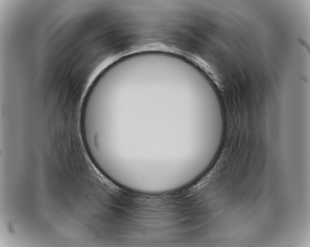 X0000096961326200802080851