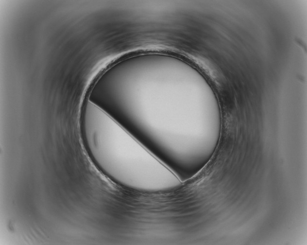 X0000096961327200802080851