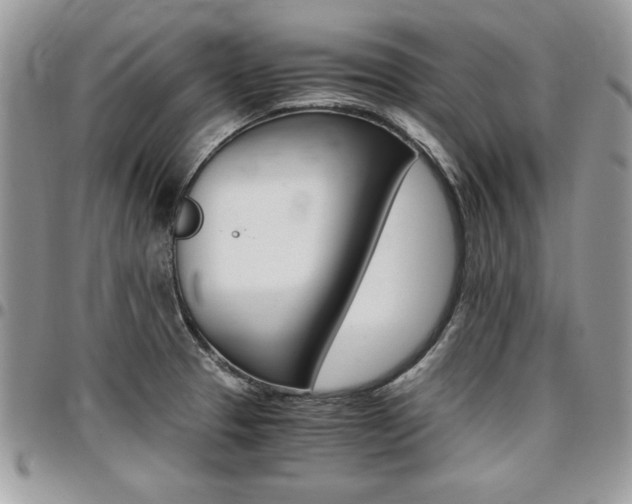 X0000096961329200802080851