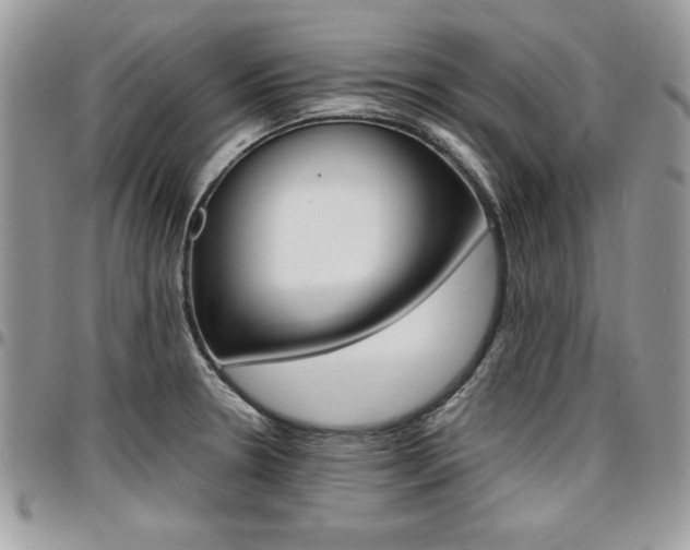 X0000096961330200802080851