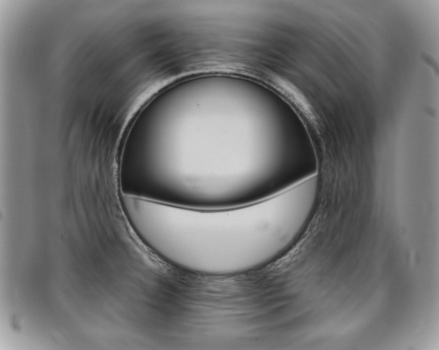 X0000096961332200802080851