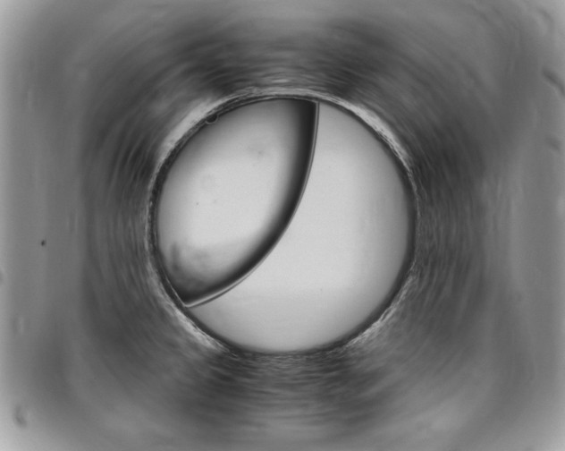 X0000096961333200802080851