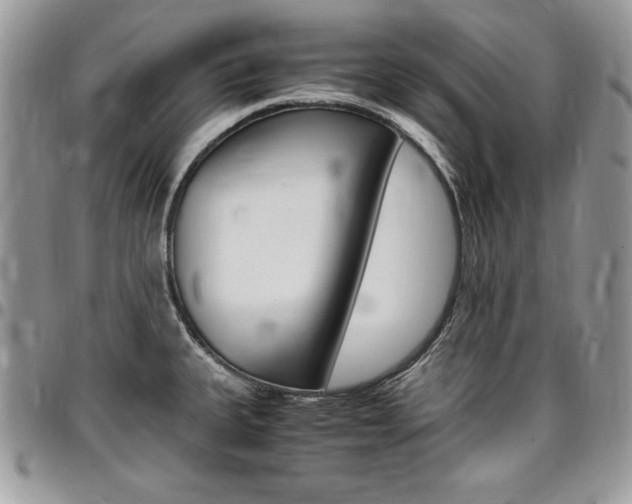 X0000096961335200802080851