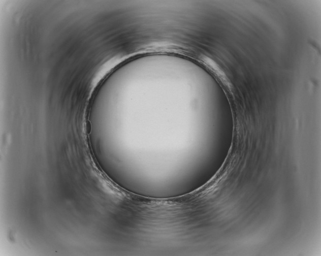 X0000096961336200802080851