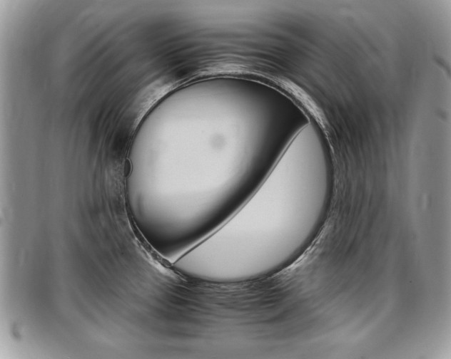 X0000096961337200802080851