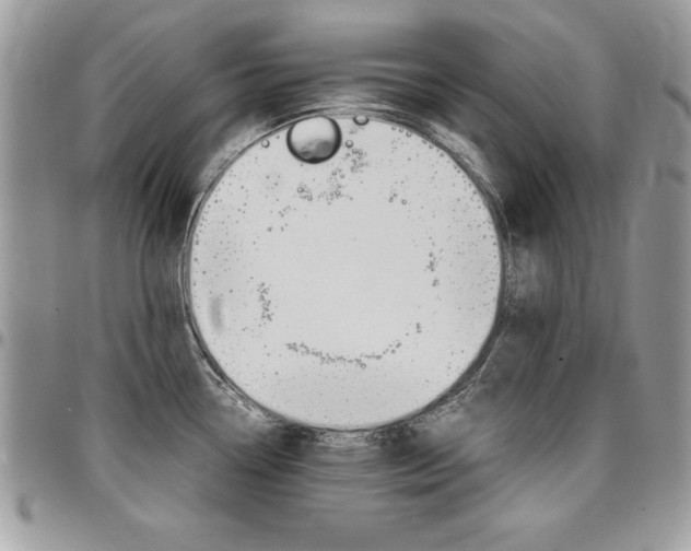 X0000096961338200802080851
