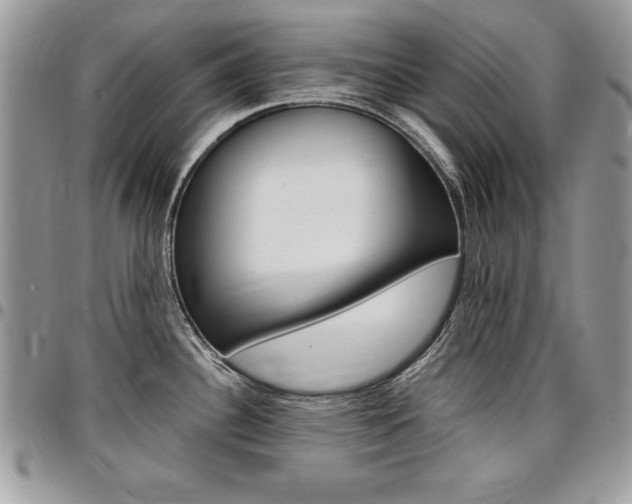 X0000096961340200802080851