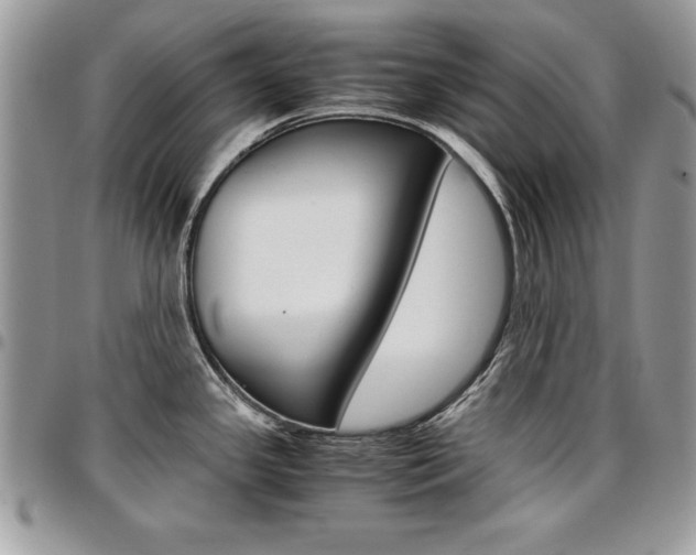 X0000096961341200802080851