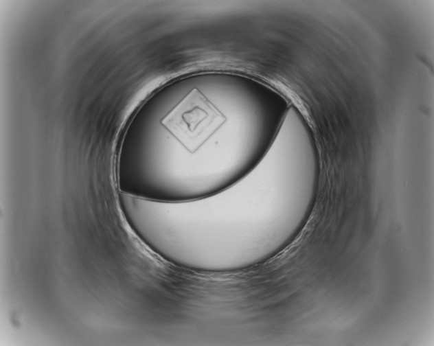 X0000096961342200802080851