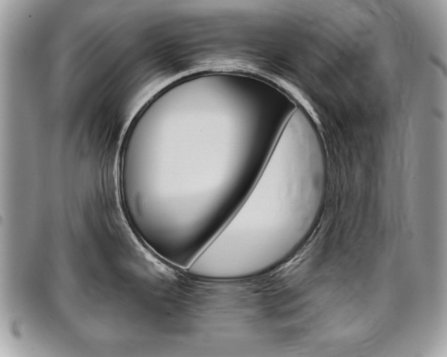 X0000096961343200802080851
