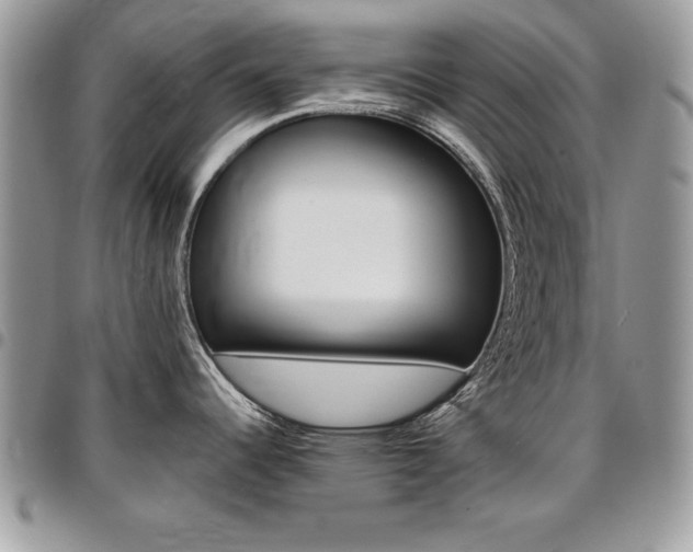 X0000096961344200802080851
