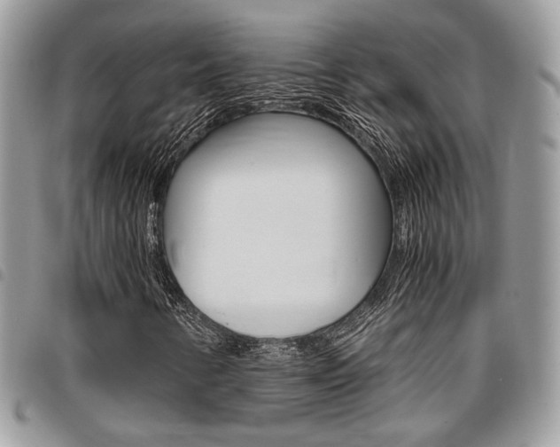 X0000096961346200802080850