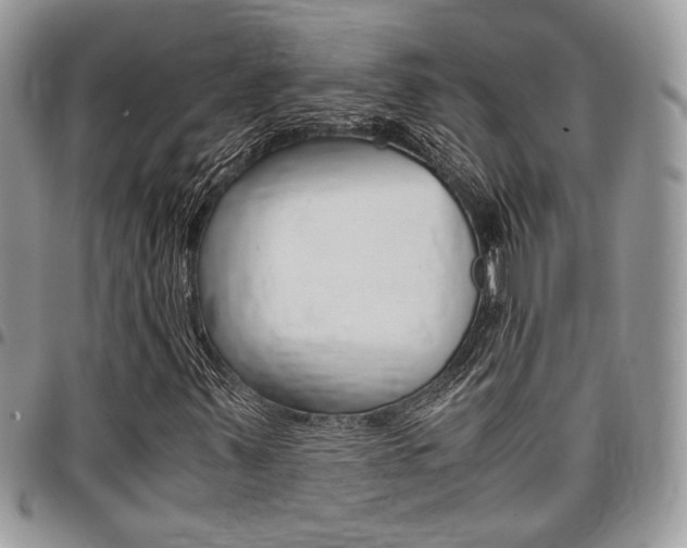 X0000096961347200802080850