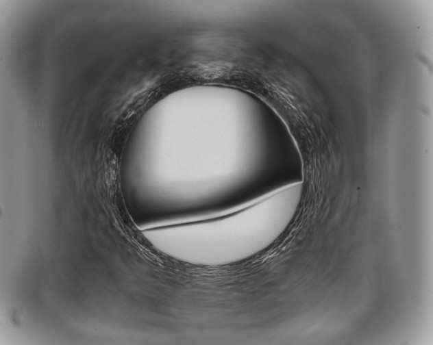 X0000096961349200802080850
