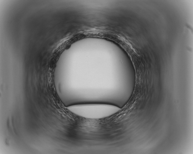 X0000096961350200802080850
