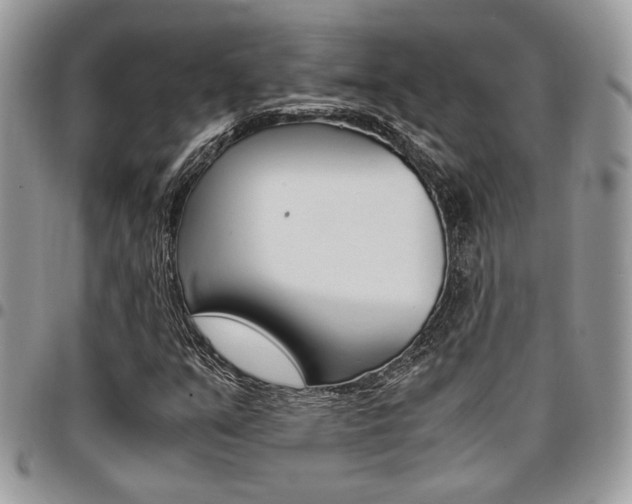 X0000096961351200802080850