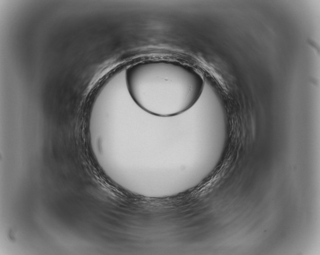 X0000096961352200802080850