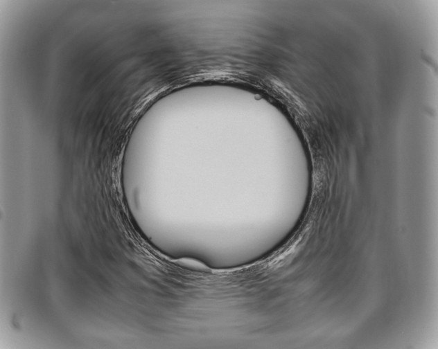 X0000096961353200802080850