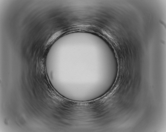 X0000096961354200802080850