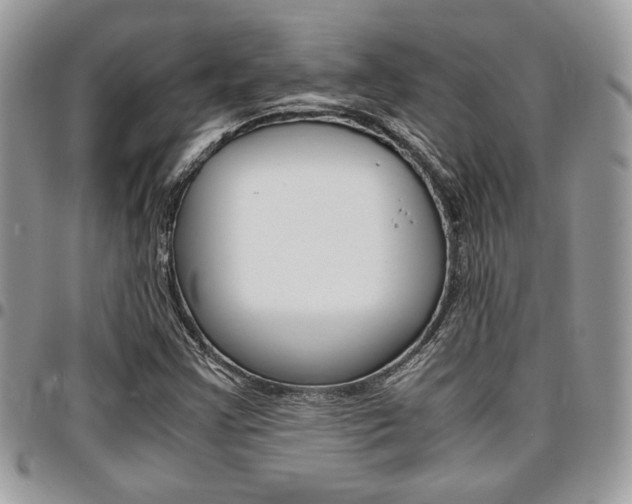 X0000096961355200802080850
