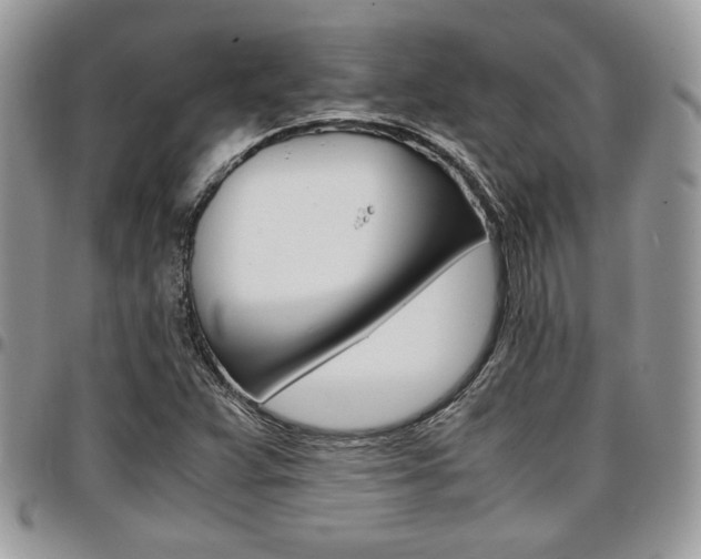 X0000096961359200802080850