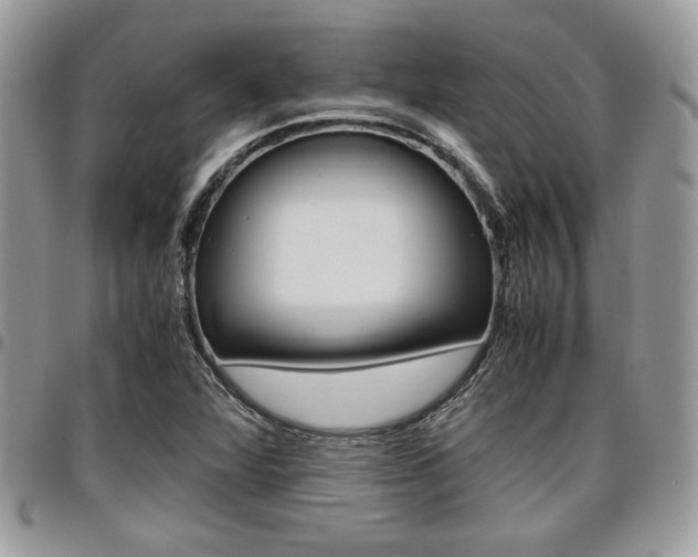 X0000096961360200802080850