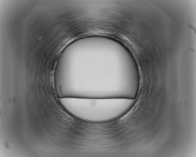 X0000096961361200802080850