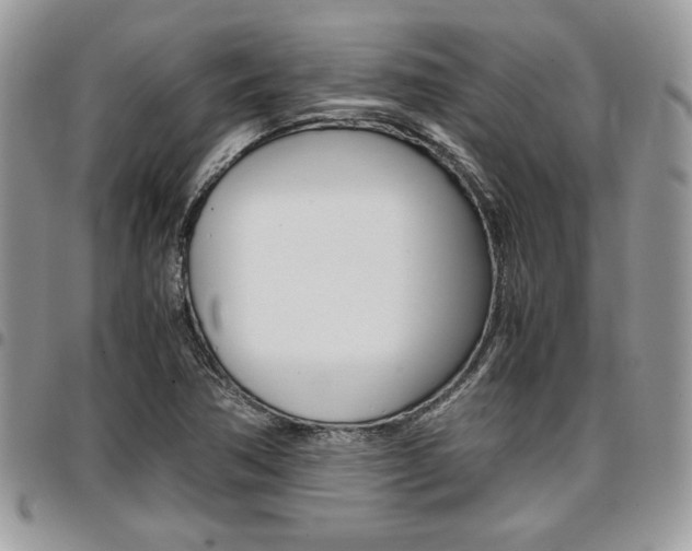 X0000096961362200802080850
