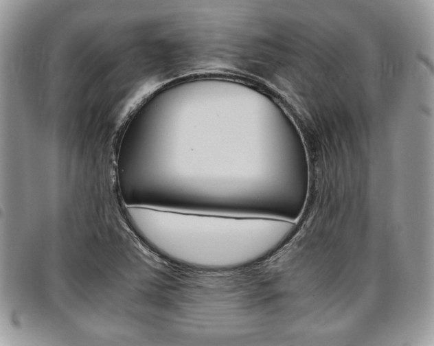 X0000096961363200802080850