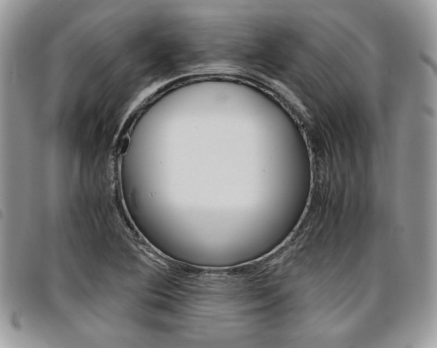 X0000096961364200802080850
