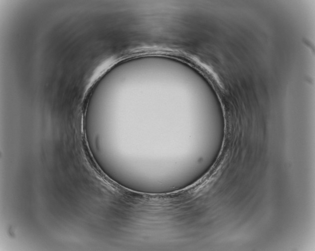 X0000096961365200802080850