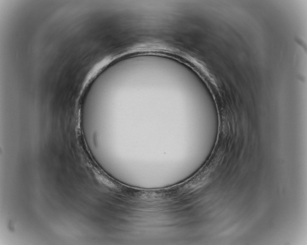 X0000096961366200802080850