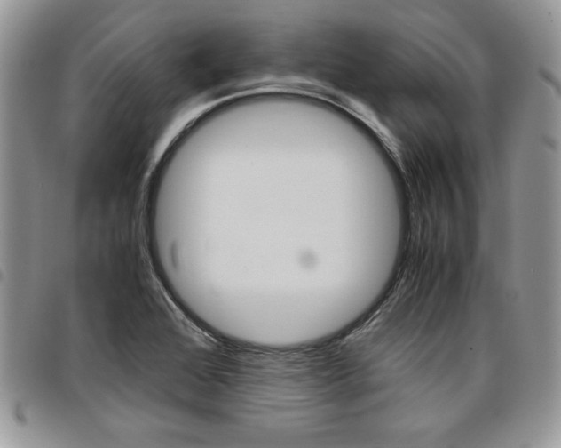 X0000096961368200802080850