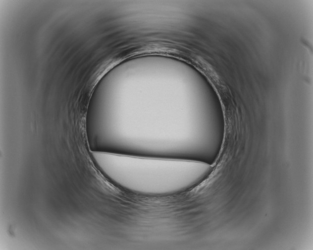 X0000096961369200802080850