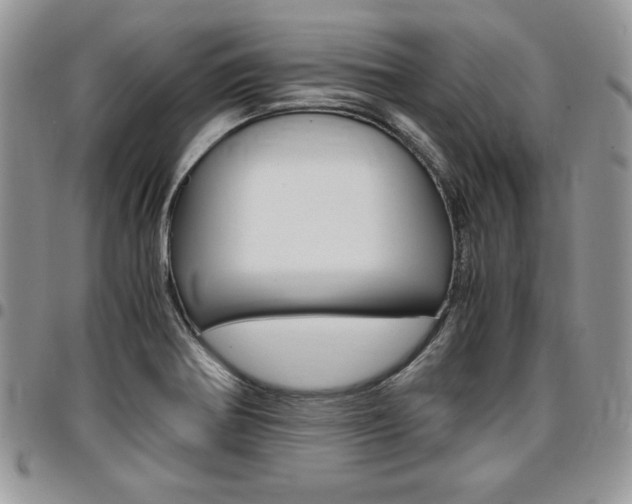 X0000096961370200802080850
