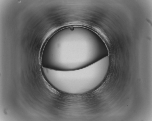 X0000096961372200802080850