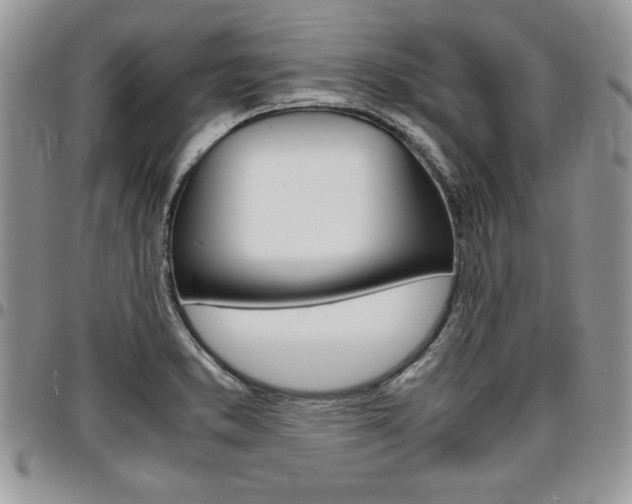 X0000096961373200802080850