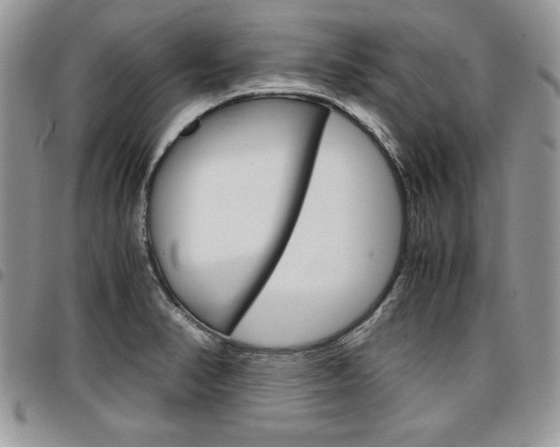 X0000096961374200802080850
