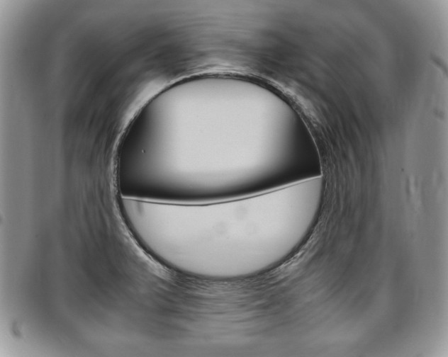X0000096961375200802080850