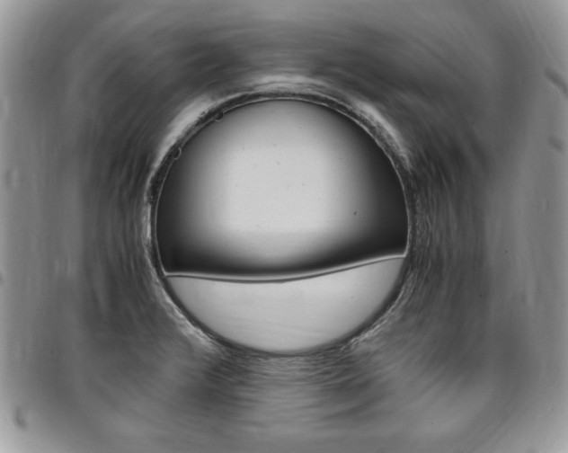 X0000096961376200802080850