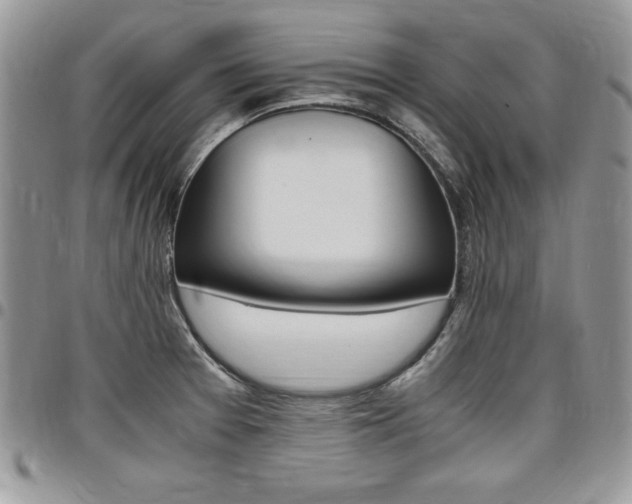 X0000096961377200802080850