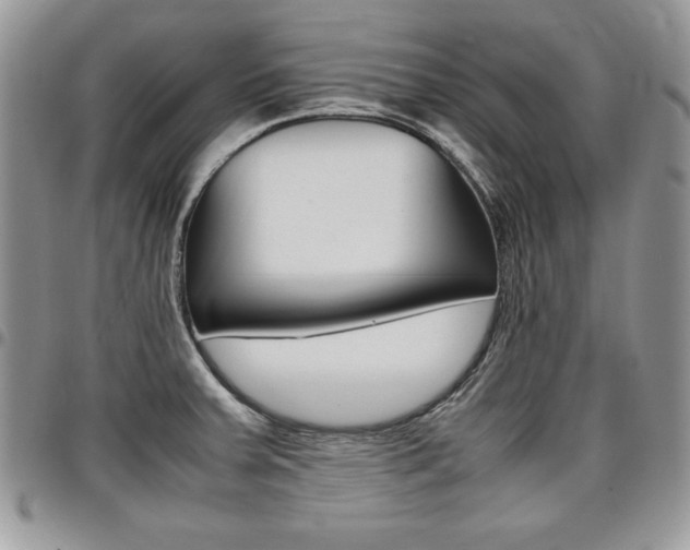X0000096961379200802080850